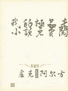 我的极品老婆们小说免费阅读