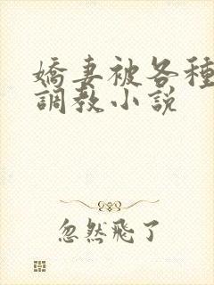 娇妻被各种刑具调教小说