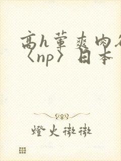 高h荤爽肉欲文〈np〉日本封面