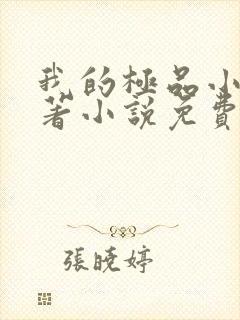 我的极品小姨原著小说免费阅读封面