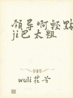 领导啊轻点灬大ji巴太粗