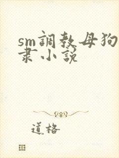 sm调教母狗奴隶小说
