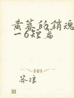 黄蓉的销魂夜1一6短篇封面