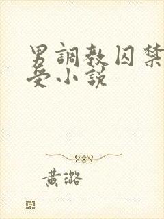 男调教囚禁双性受小说封面