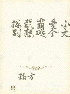 总裁霸爱小娇妻别想逃全文免费阅读