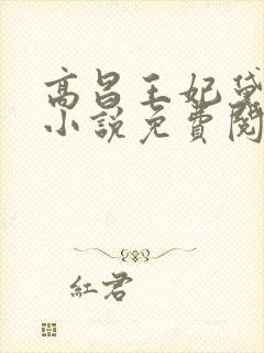 高昌王妃黛妃的小说免费阅读无弹窗全文