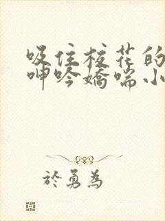 吸住校花的奶头呻吟娇喘小说