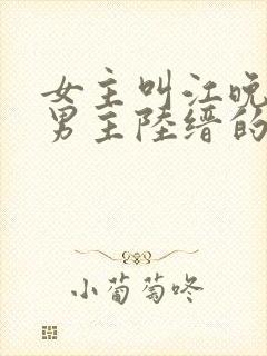 女主叫江晚吟,男主陆缙的小说