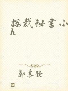 总裁秘书小说高h