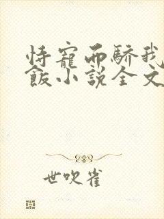 恃宠而骄我叫有饭小说全文免费阅读封面