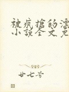 被疯抢的漂亮攻小说全文免费阅读无弹窗封面