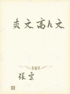 爽文高h文
