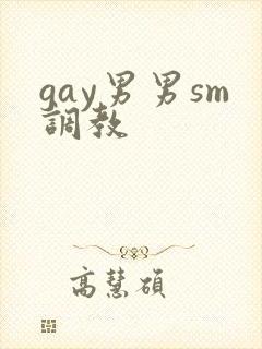 gay男男sm调教