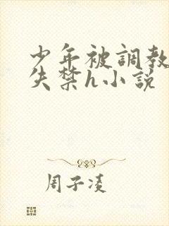 少年被调教爽到失禁h小说