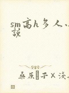 sm高h多人小说