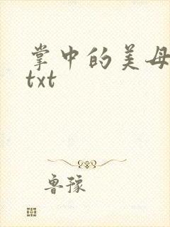 掌中的美母版主txt