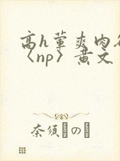 高h荤爽肉欲文〈np〉黄文