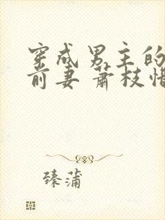 穿成男主的炮灰前妻 萧枝惜封面