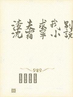 渣夫求我别和离沈霜宁小说