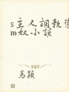 s主人调教惩罚m奴小说