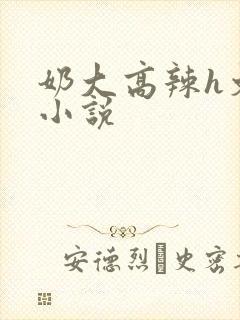 奶大高辣h文乳小说