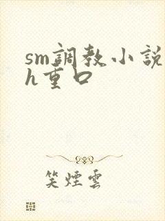 sm调教小说高h重口封面