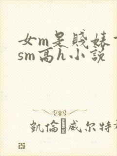 女m是贱婊重口sm高h小说