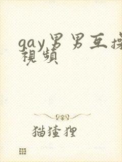 gay男男互操视频