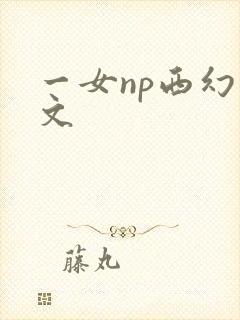 一女np西幻h文