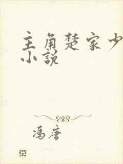 主角楚家少爷的小说