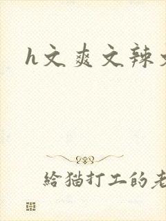 h文爽文辣文