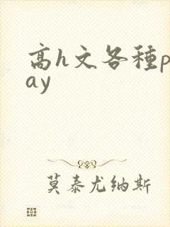高h文各种play