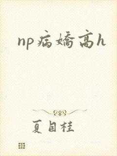 np病娇高h封面
