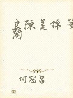 良陈美锦 笔趣阁封面