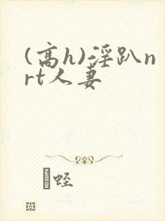 (高h)淫趴nrt人妻