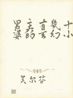 男主有几十个老婆的玄幻小说