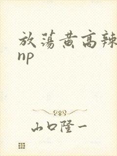 放荡黄高辣h文np