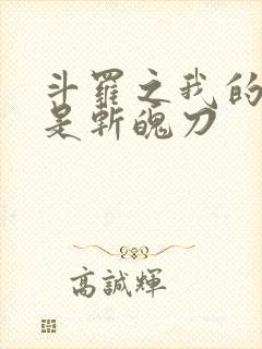 斗罗之我的武魂是斩魄刀