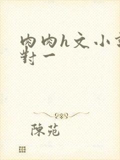 肉肉h文小说一对一