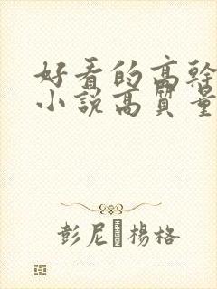 好看的高干言情小说高质量文笔好