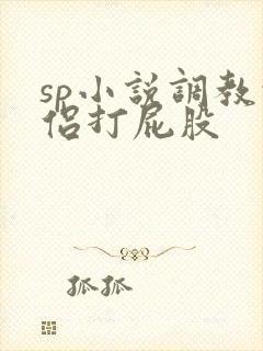 sp小说调教情侣打屁股