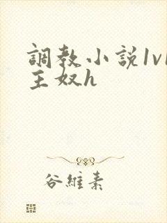 调教小说1v1主奴h