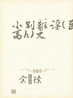 小别离淫(巨肉高h)文