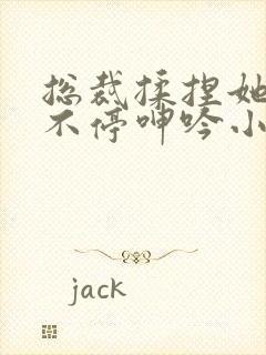 总裁揉捏她两乳不停呻吟小说