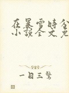 在暴雪时分原著小说全文免费阅读封面