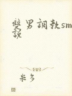 双男调教sm小说