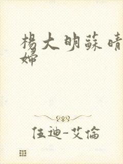 杨大明苏晴儿媳妇