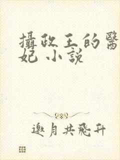 摄政王的医品狂妃 小说