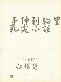 手伸到胸里揉她乳尖小说