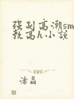 强制高潮sm调教高h小说